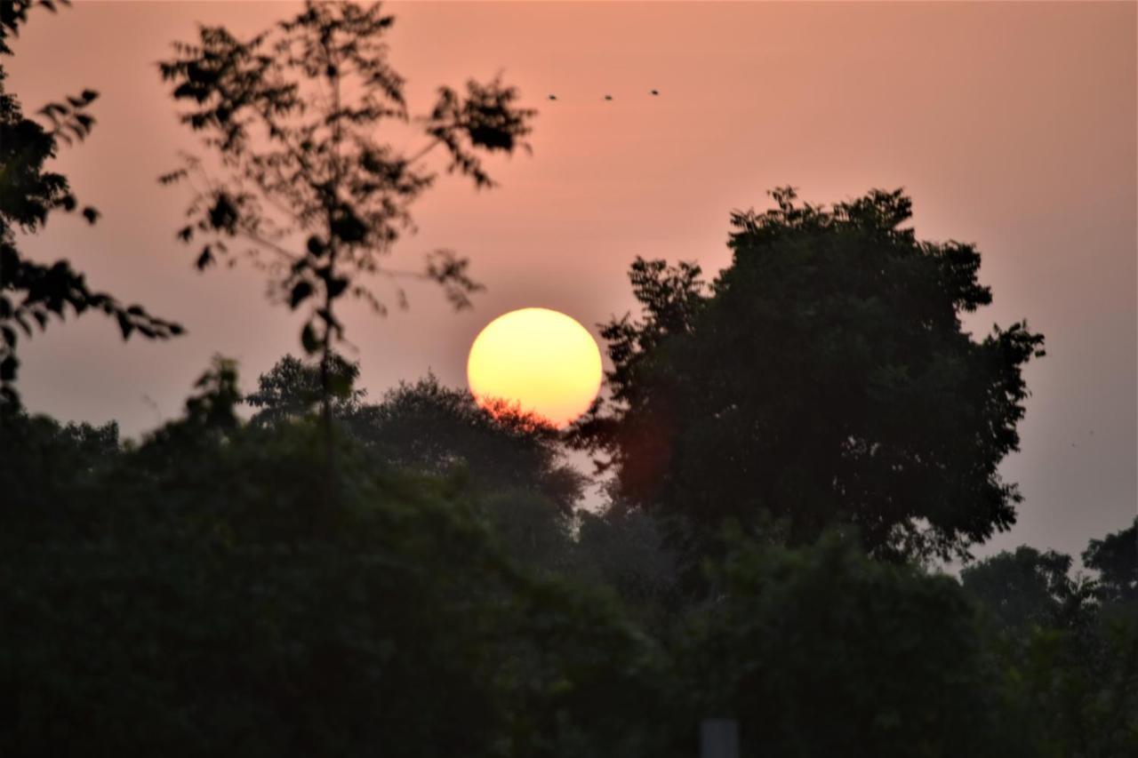 Ranthambhore Bagh Dwar Camp Khilchīpur Kültér fotó