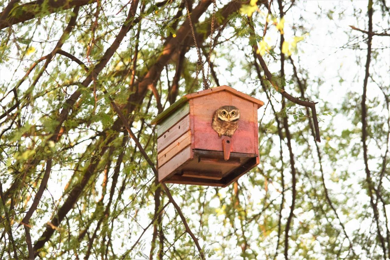 Ranthambhore Bagh Dwar Camp Khilchīpur Kültér fotó
